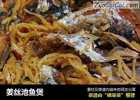 姜丝池鱼煲
