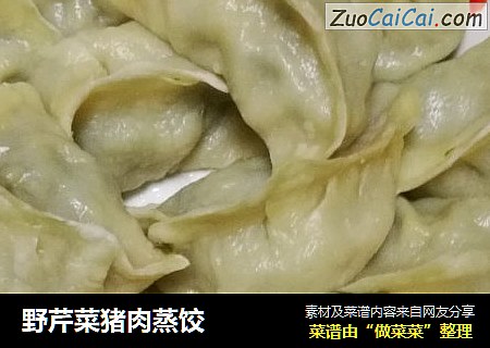 野芹菜猪肉蒸饺