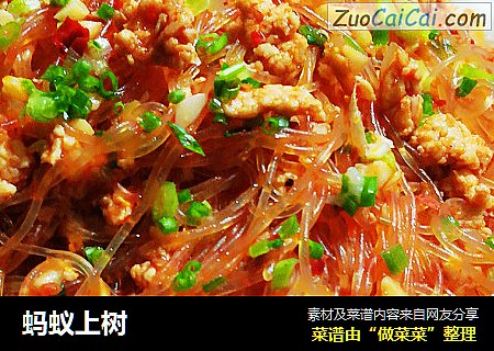 蚂蚁上树