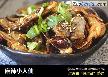 麻辣小人仙