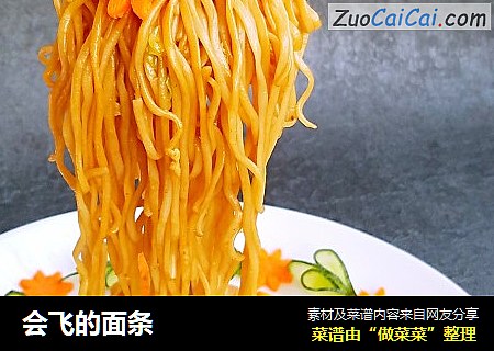 会飞的面条