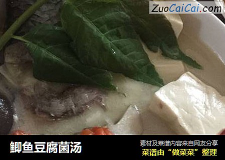 鲫鱼豆腐菌汤