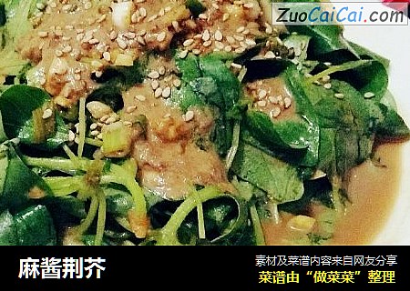 麻酱荆芥