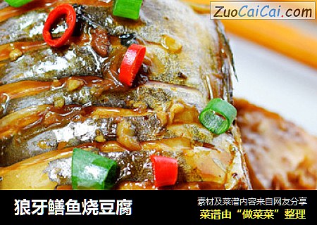 狼牙鳝鱼烧豆腐