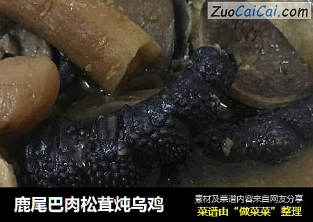 鹿尾巴肉松茸炖乌鸡