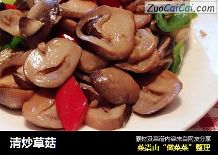 清炒草菇