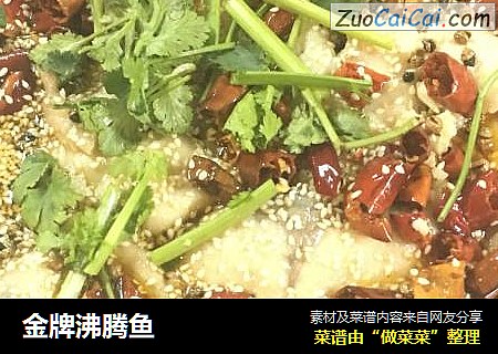 金牌沸腾鱼