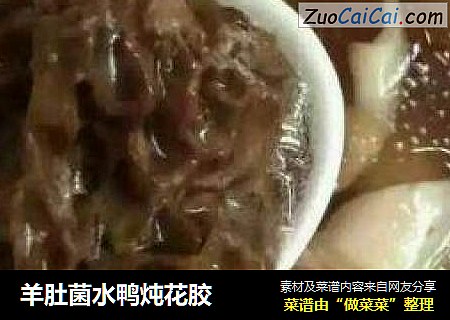 羊肚菌水鸭炖花胶