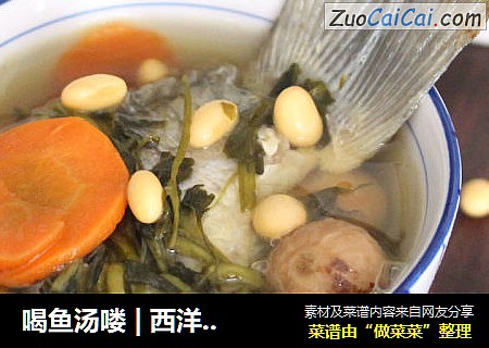 喝鱼汤喽 | 西洋菜干鲫鱼汤