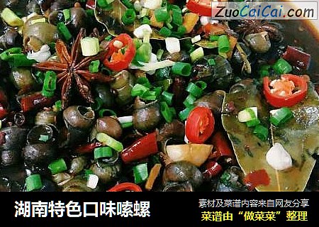 湖南特色口味嗦螺