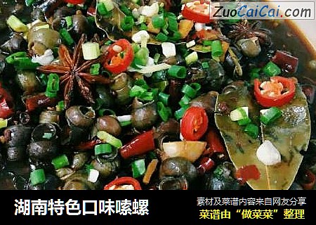 湖南特色口味嗦螺