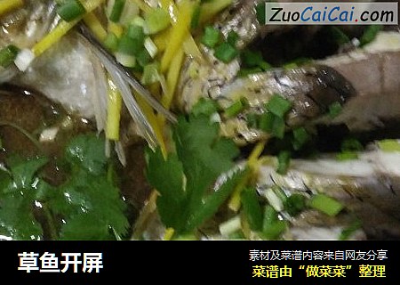 草鱼开屏