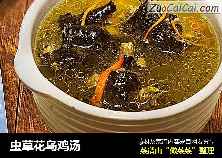 虫草花乌鸡汤