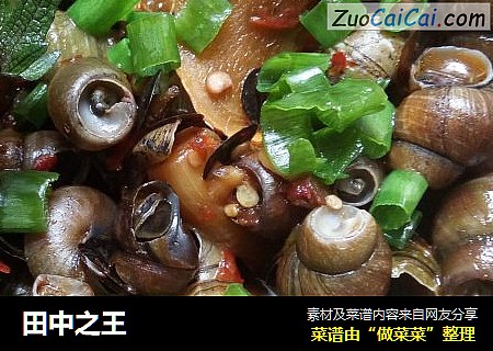 田中之王