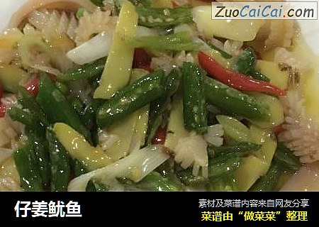仔姜鱿鱼