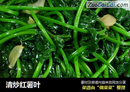 清炒红薯叶