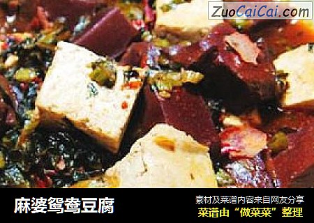 麻婆鸳鸯豆腐