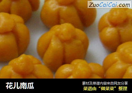 花儿南瓜