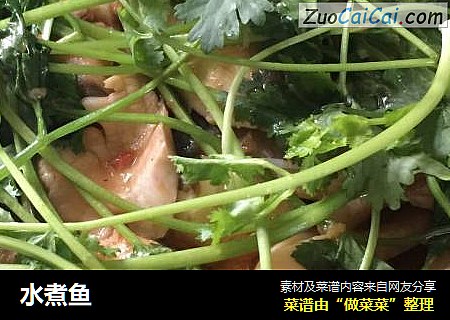 水煮鱼