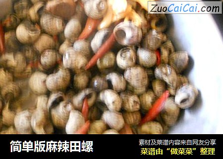 简单版麻辣田螺