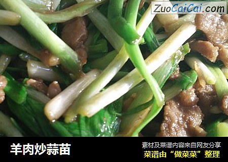 羊肉炒蒜苗