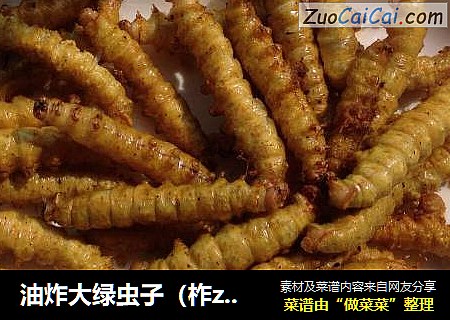 油炸大绿虫子（柞zuò蚕）