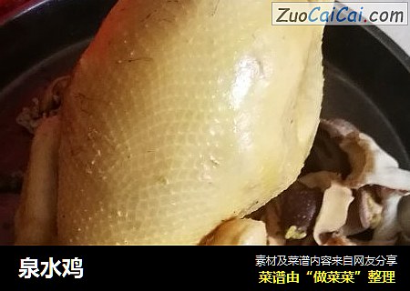 泉水鸡