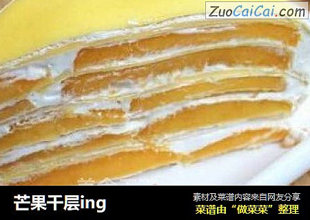 芒果千层ing