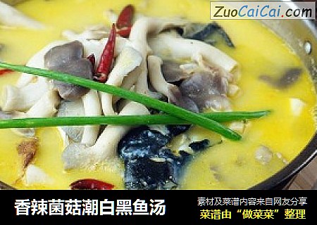 香辣菌菇潮白黑鱼汤