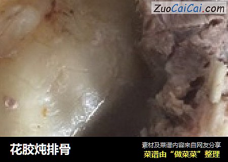 花胶炖排骨