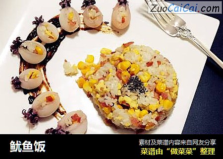 鱿鱼饭