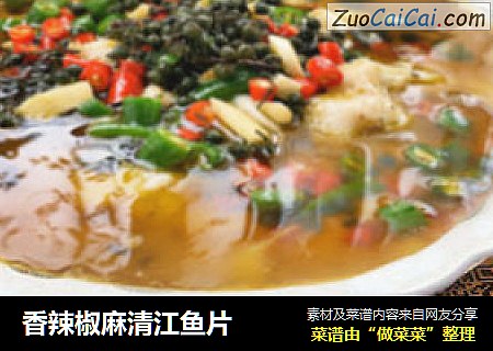 香辣椒麻清江鱼片