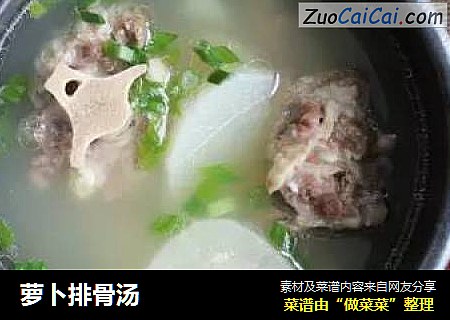 萝卜排骨汤