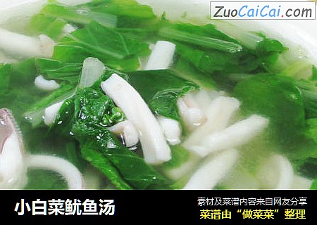 小白菜鱿鱼汤