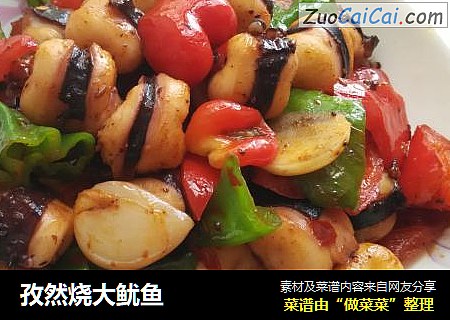 孜然烧大鱿鱼