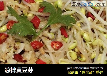 凉拌黄豆芽