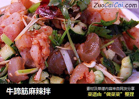 牛蹄筋麻辣拌
