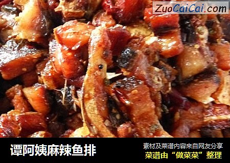 谭阿姨麻辣鱼排