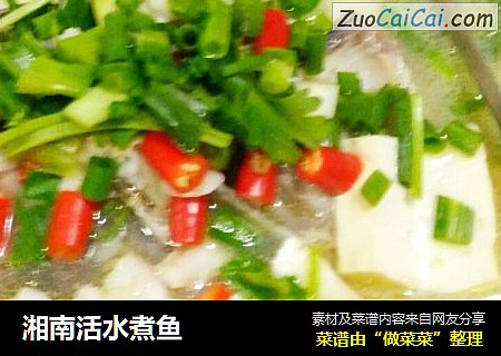 湘南活水煮鱼