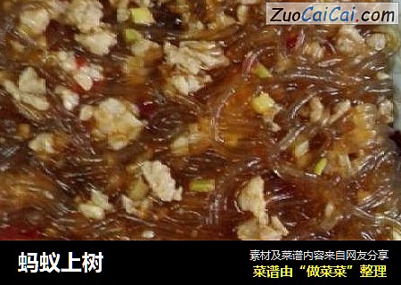 蚂蚁上树