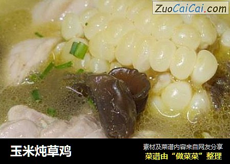 玉米炖草鸡