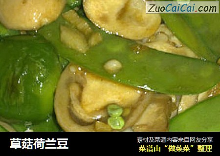 草菇荷兰豆