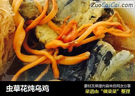 虫草花炖乌鸡