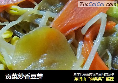 贡菜炒香豆芽