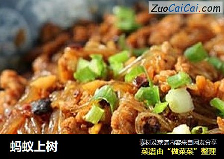 蚂蚁上树