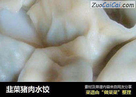 韭菜猪肉水饺