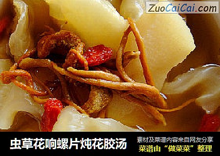 虫草花响螺片炖花胶汤