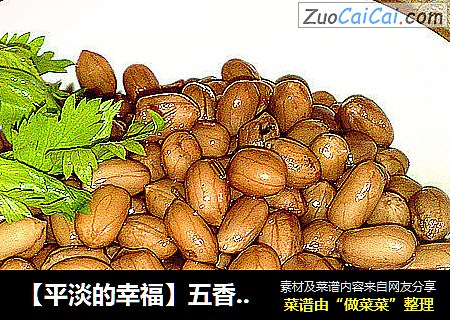 【平淡的幸福】五香花生米
