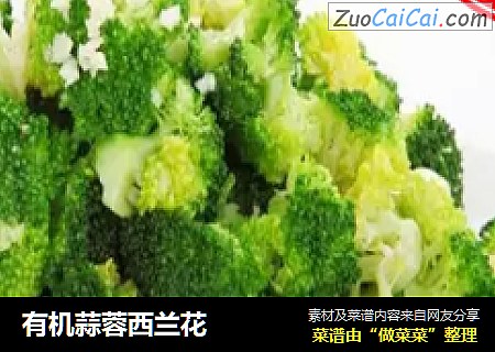 有机蒜蓉西兰花
