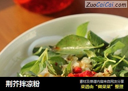 荆芥拌凉粉